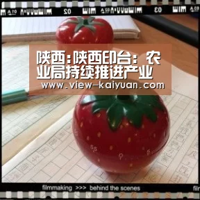 开云体育官网