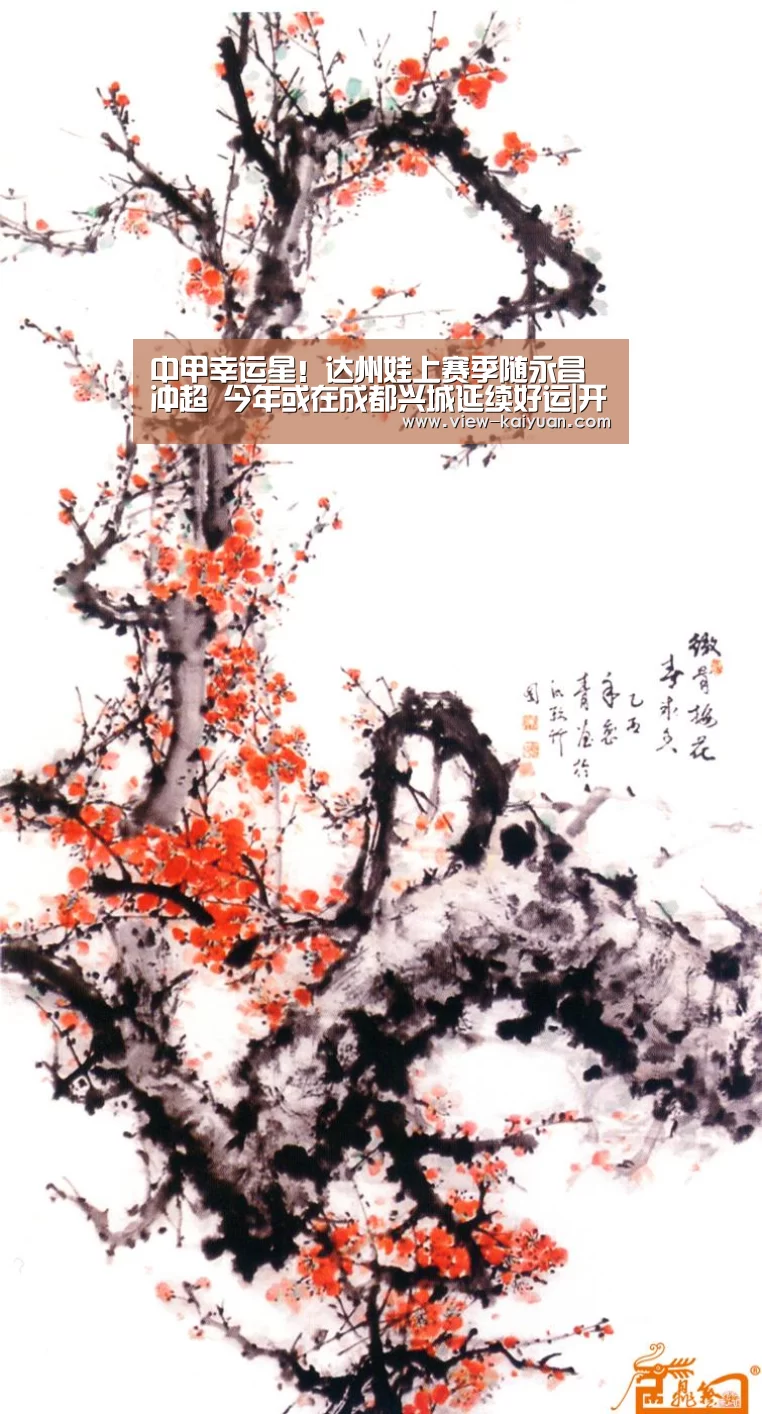 
中甲幸运星！达州娃上赛季随永昌冲超 今年或在成都兴城延续好运|开元棋牌电脑版